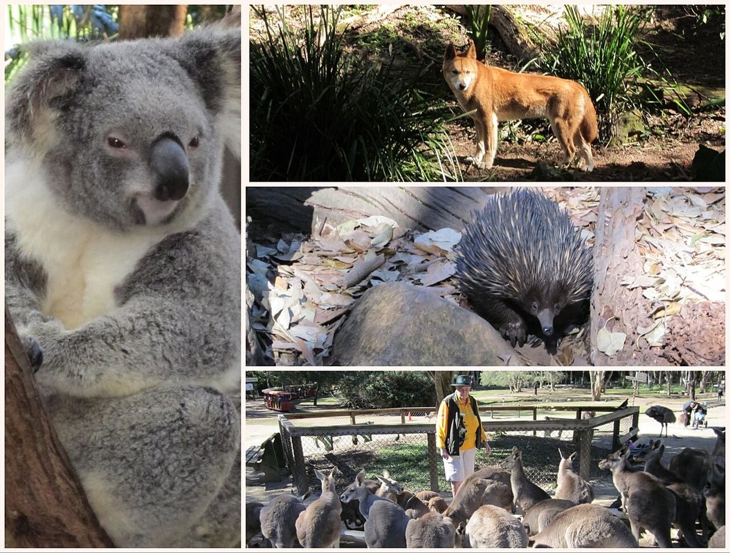 Photograph accompanying John Forrest National Park