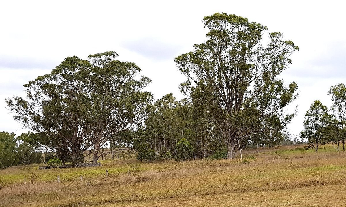 Photograph accompanying Family Nature Walk Tips and Activities